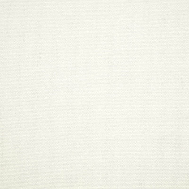 Canvas White - 431