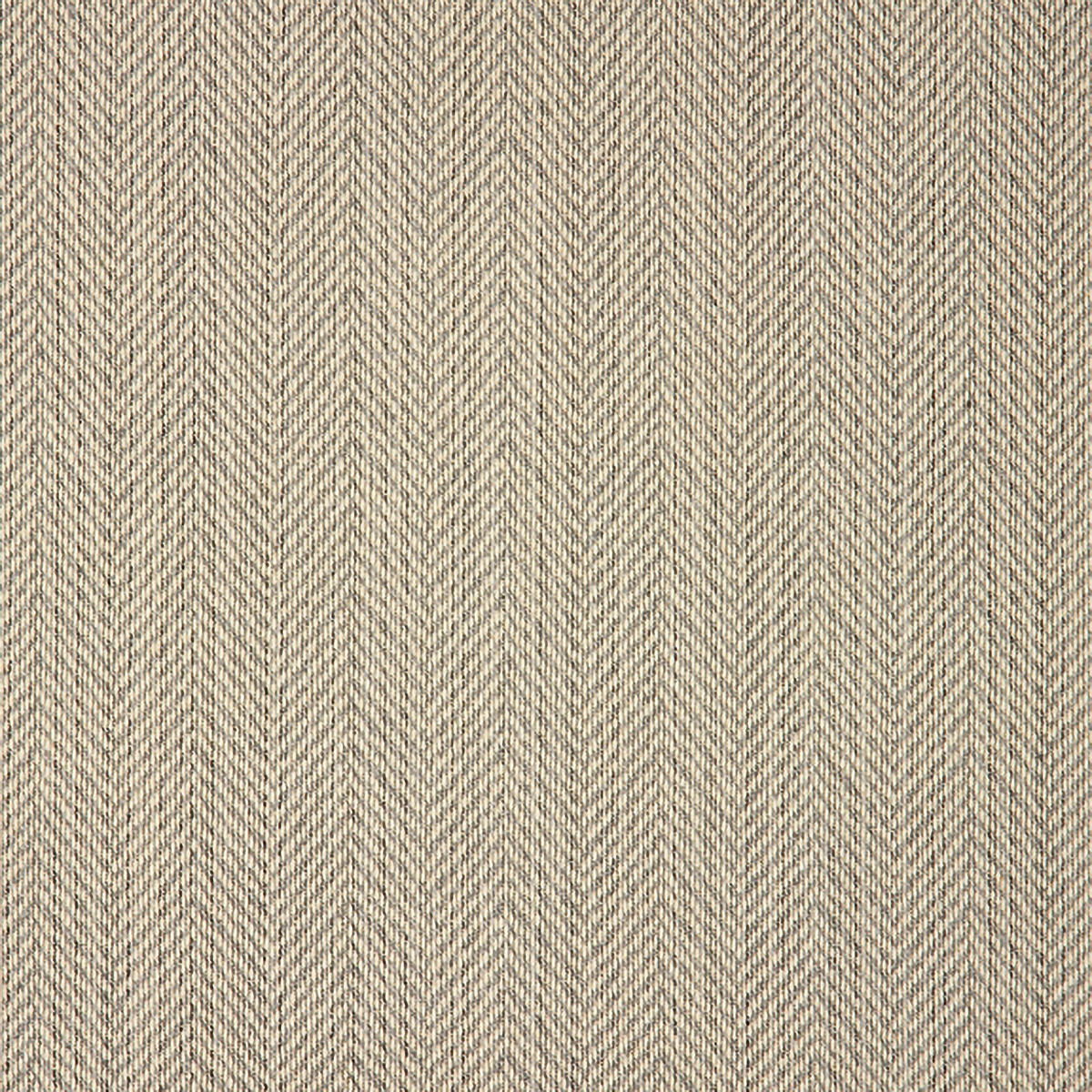 Posh Ash - GS36