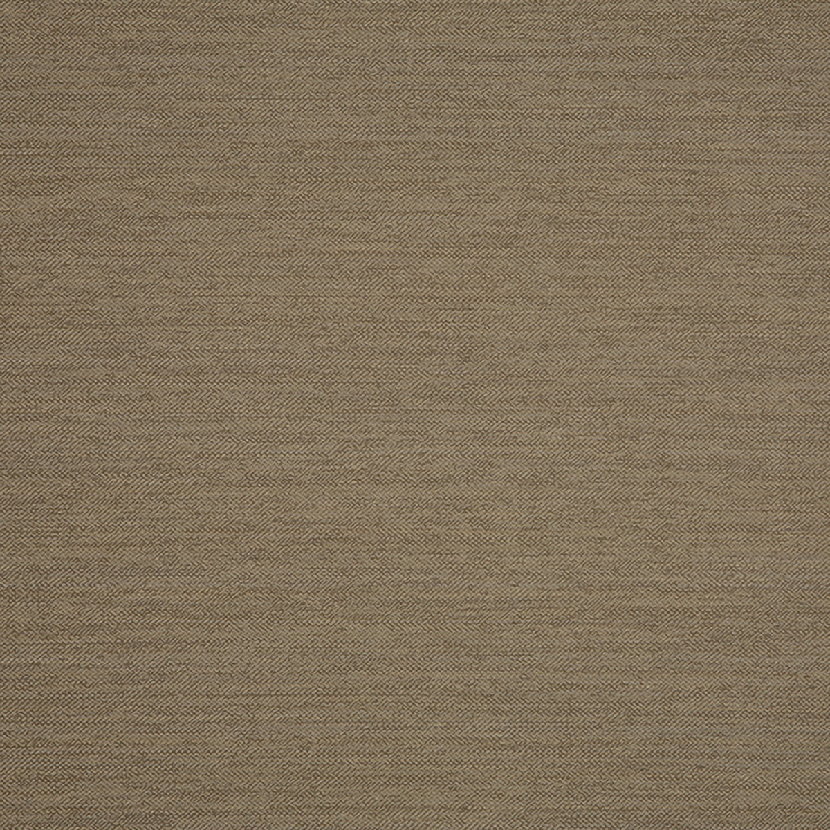 Sahara Café - GS38