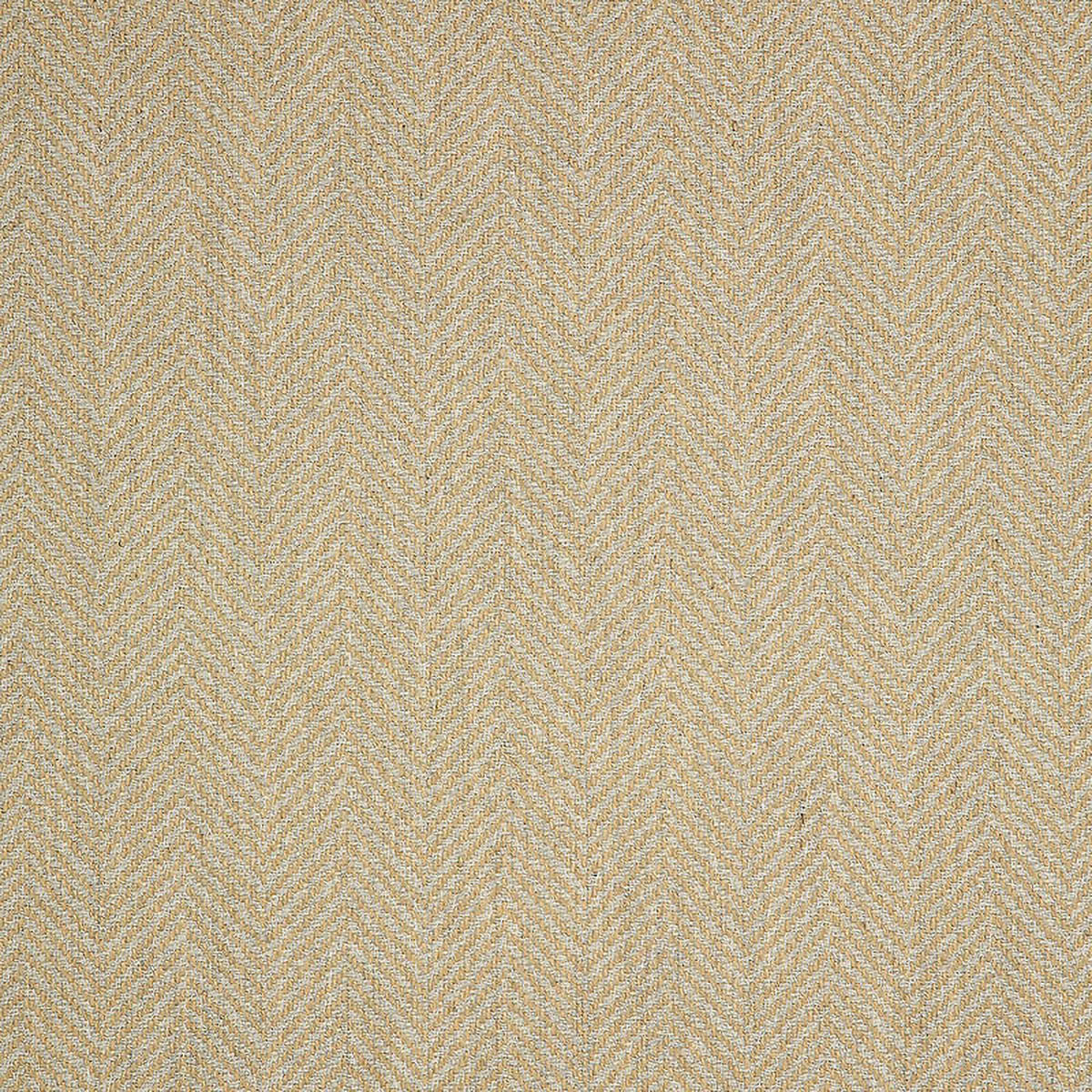 Posh Shitake - GT42
