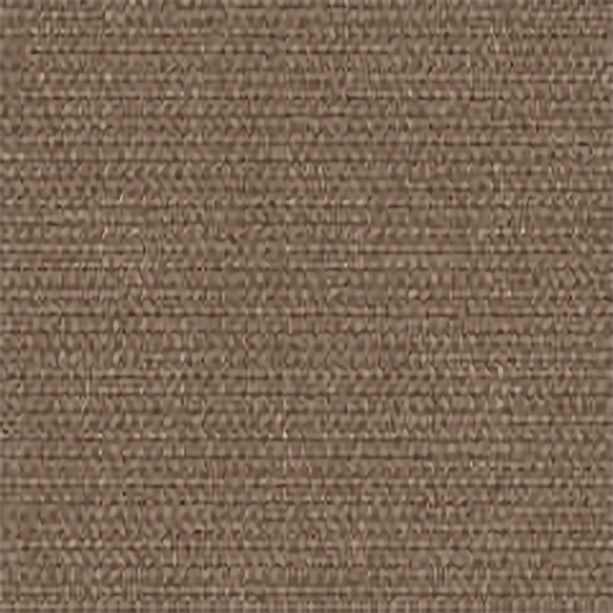 Muscle Beach Tweed - RV18