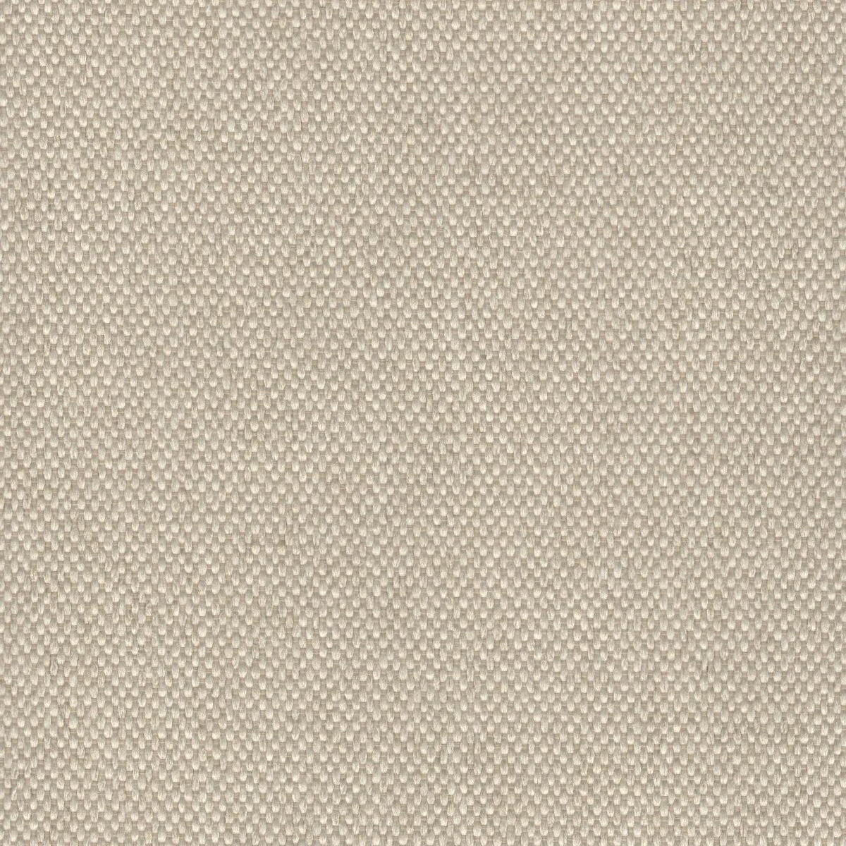 Hayden Taupe - RV22