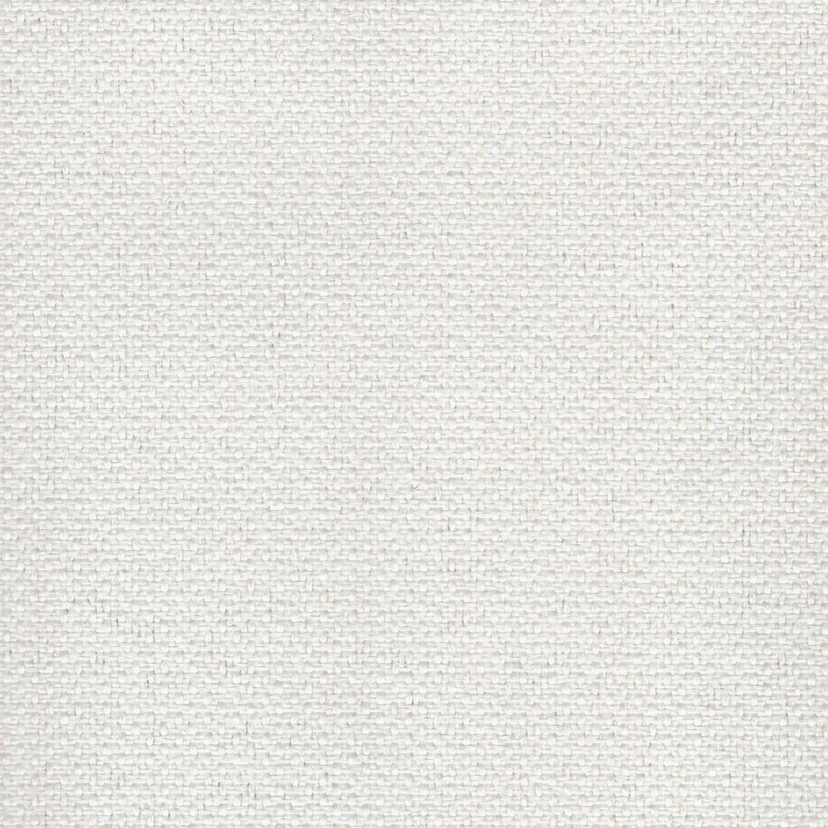 Falcon White - RV27