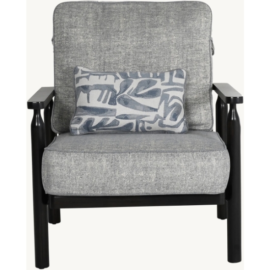 Holland Cushioned Lounge Chair with One Accent Pillow - 6C10T