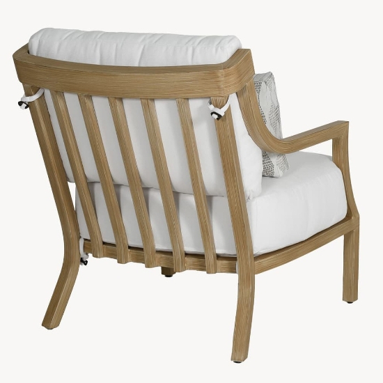 Nicoya Lounge Chair back angle