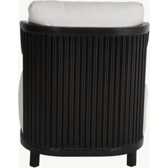 Samara Cushioned Lounge Chair with One Accent Pillow - 6B10R