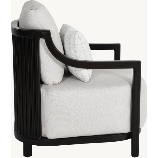 Samara Cushioned Lounge Chair with One Accent Pillow - 6B10R