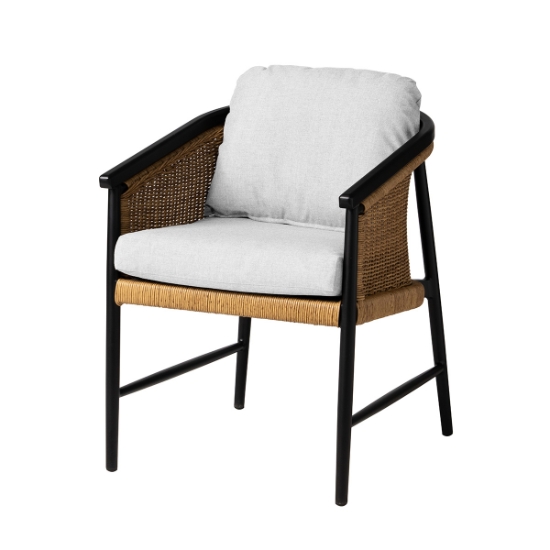 Lloyd Flanders Galloway Dining Armchairs