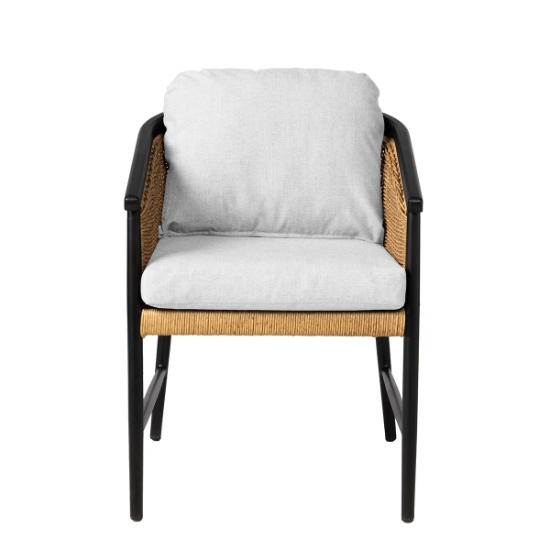 Lloyd Flanders Galloway Dining Armchairs front