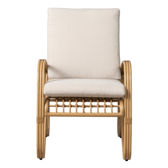 Lloyd Flanders Riviera Dining Armchairs front
