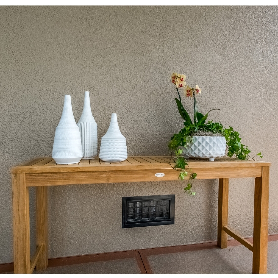 60 " Console Table with plants
