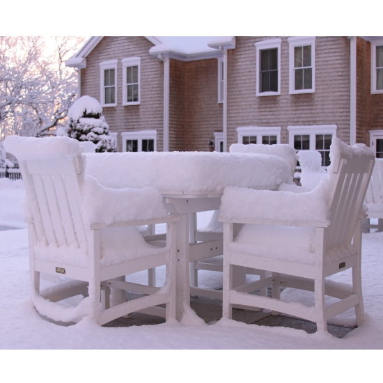 hampton snow