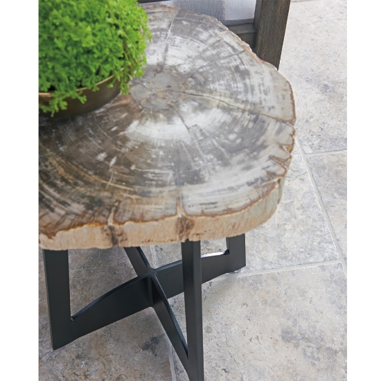 Petrified Wood Side Table