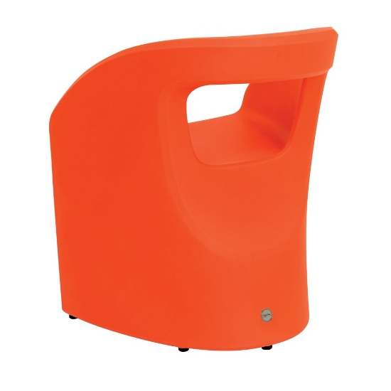 radius back detail