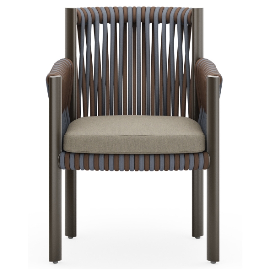 Woodard Eve Dining Chairs with Seat Cushions front