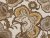 Palacio Bloom - S2C