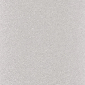 Standard Matte White