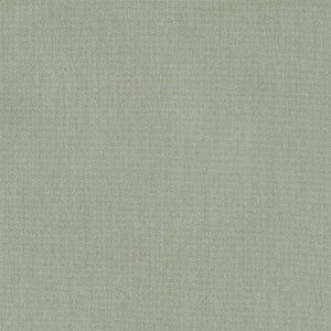 Aloe - 5457