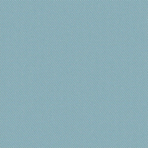 Coast - 4111