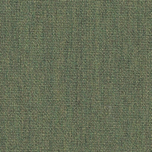 Fern - 5487