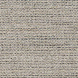 Fog - 4108