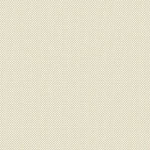 Linen Parchment - 5681