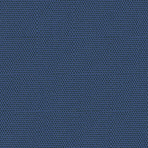 Neptune - 6433