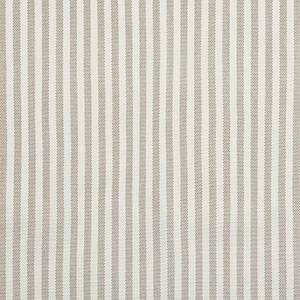 Path Sand - 5282