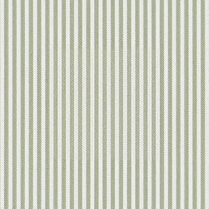 Ticking Aloe - 4036