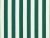 Safari White Stripe - 269