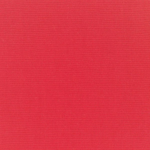 Canvas Logo Red - 917