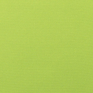 Canvas Macaw - 926