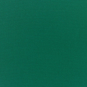 Canvas Forest Green - 934