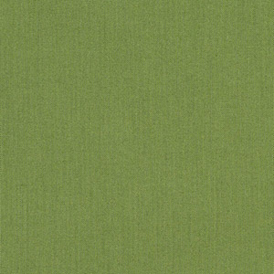 Spectrum Cilantro - 946