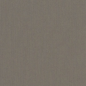 Spectrum Graphite - 951