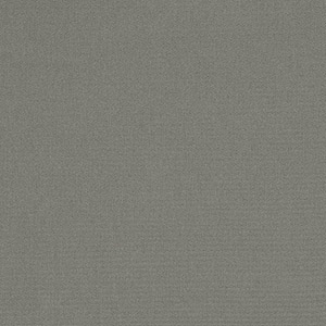 Canvas Charcoal - W97