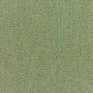 Canvas Fern - Y14