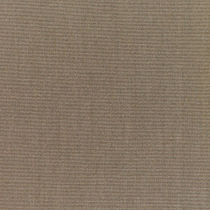 Canvas Taupe - Y23