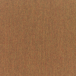 Canvas Teak - Y24