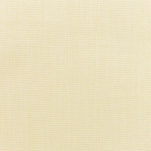 Canvas Vellum - Y27