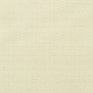 Linen Canvas - Y65