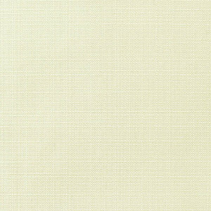 Linen Natural - Y67