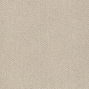 Hayden Taupe - RV22