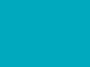 Turquoise - 028