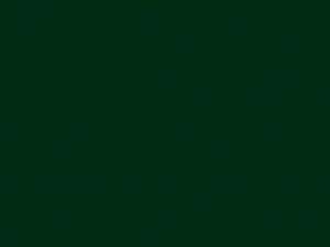 Forest Green - 042