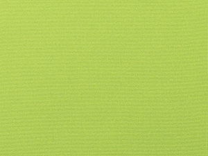 Canvas Macaw - 04A
