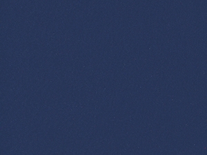 Rain Navy - 13R
