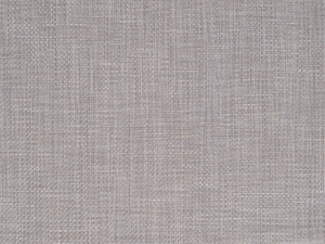 Sand Dollar - 231