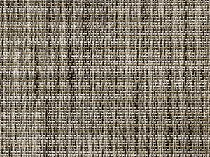 Brindle - 397