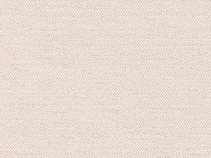 Nuance Cloud - 48T